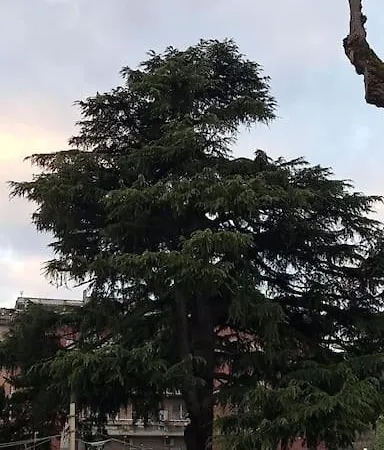 La Cupola Dei Sogni