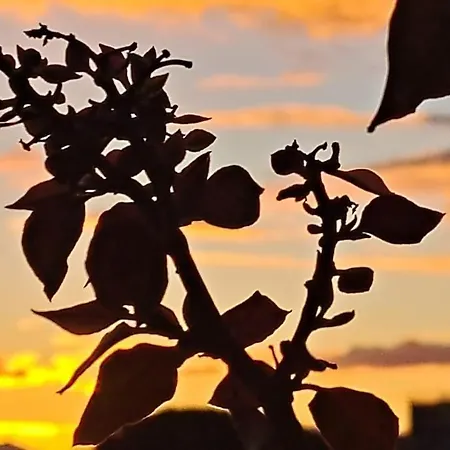 La Cupola Dei Sogni Сasa de vacaciones *