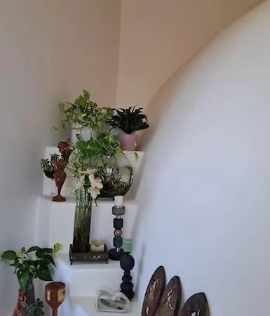 La Cupola Dei Sogni *