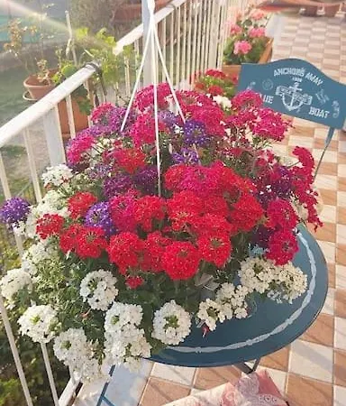 La Cupola Dei Sogni Nápoles